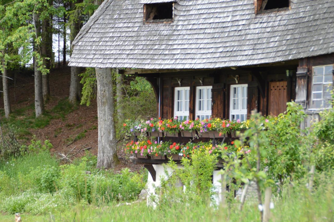 Ferienwohnung Baeuerle Schönwalde Exterior foto